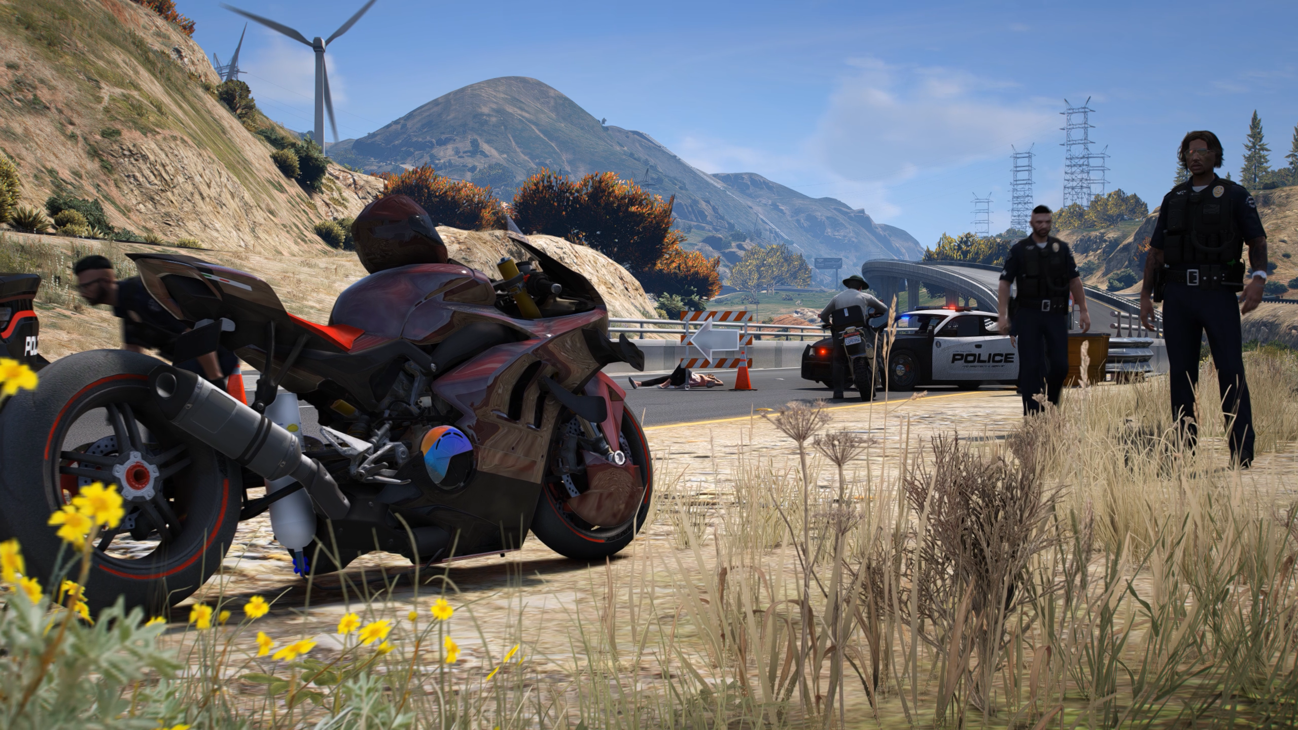 Traffic Division